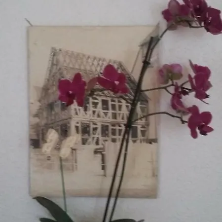 Les Jardins De La Croix Blanche
